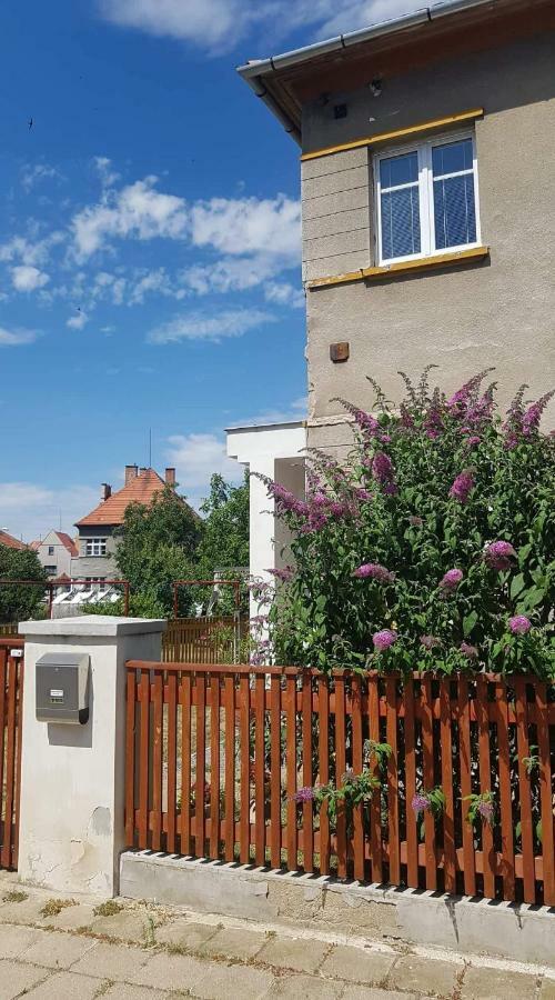 Penzion Flora Žatec Exterior foto